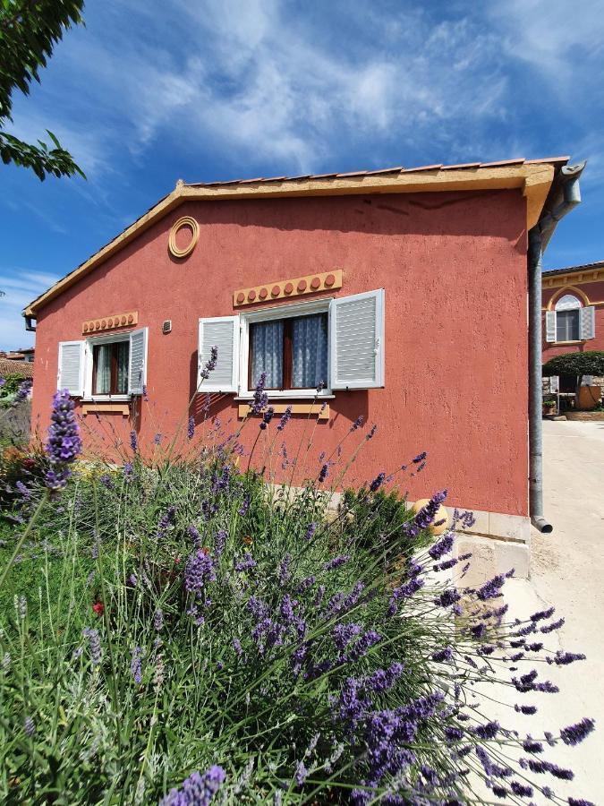 Apartment "House Tigra" Rovinj Dış mekan fotoğraf